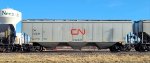 CN 113844